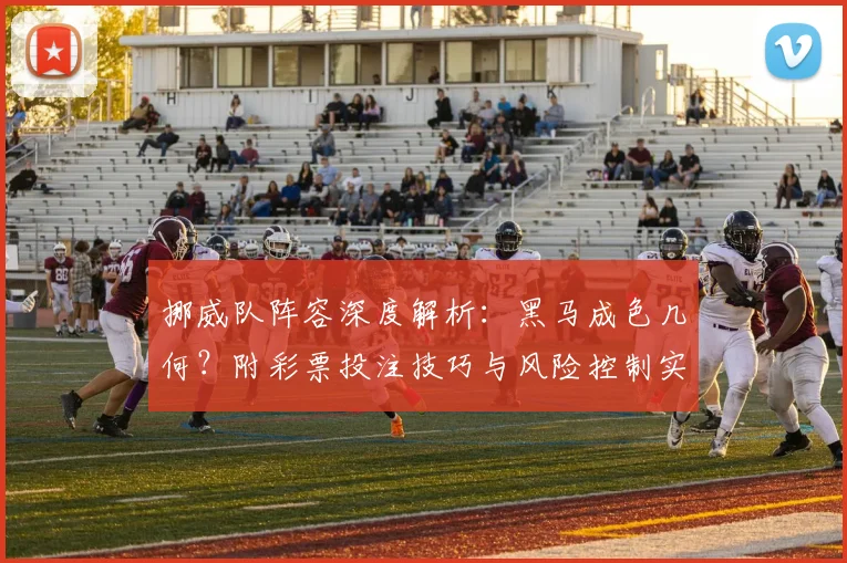挪威队阵容深度解析:黑马成色几何?附彩票投注技巧与风险控制实战指南