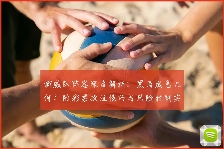 挪威队阵容深度解析：黑马成色几何？附彩票投注技巧与风险控制实战指南